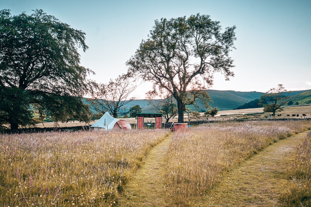 become wild edale