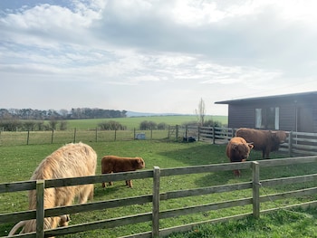 orchard house lodges by ecohuman