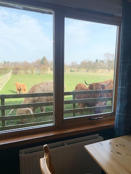 orchard house lodges by ecohuman