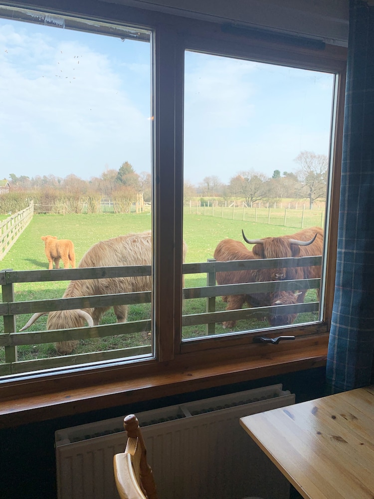 orchard house lodges by ecohuman