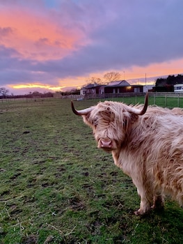 orchard house lodges by ecohuman