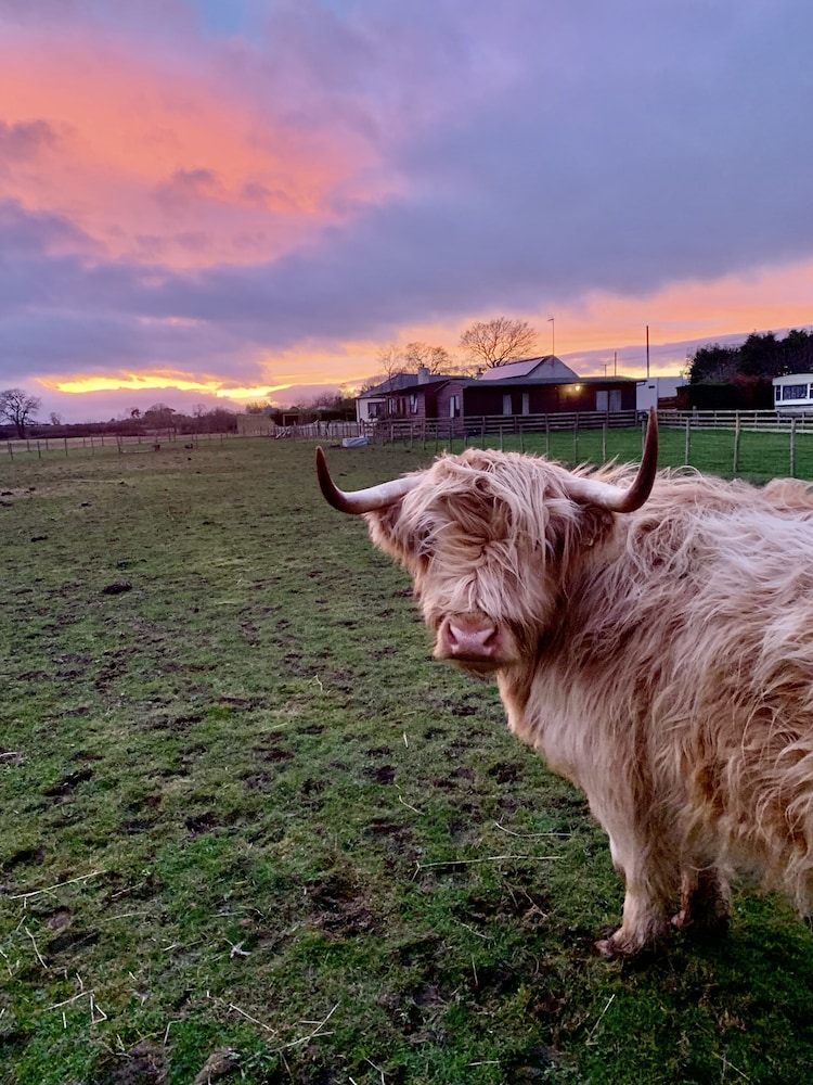 orchard house lodges by ecohuman