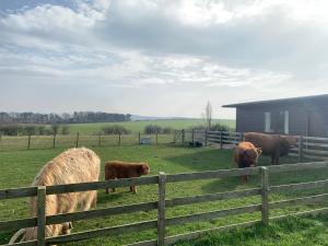 orchard house lodges by ecohuman