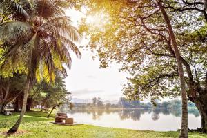 vale pine titiwangsa cabin retreats