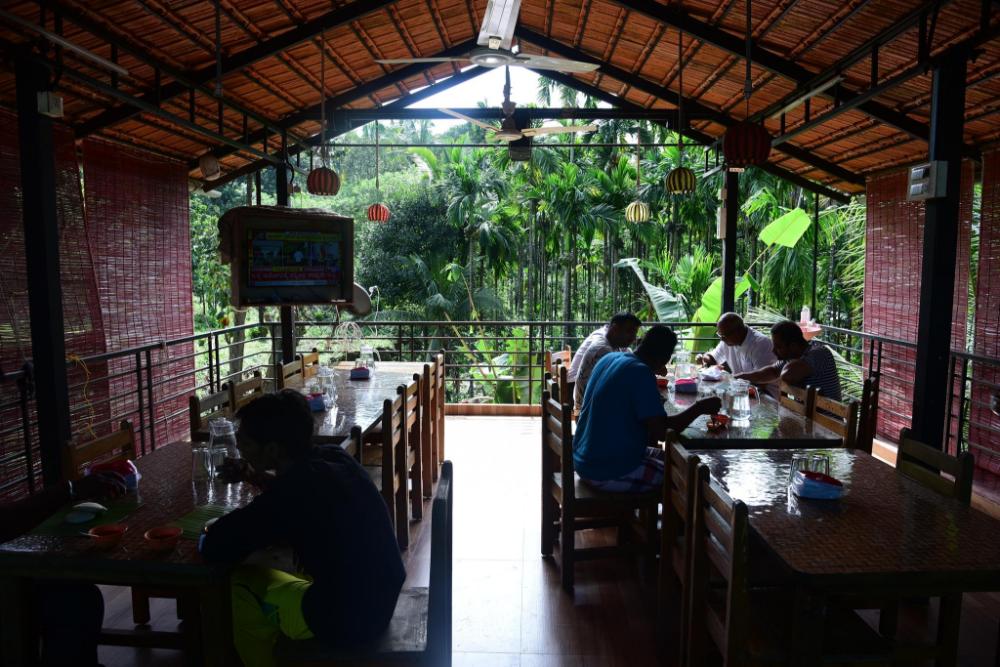 jungle wood house