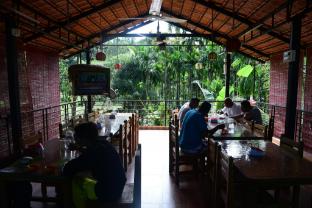 jungle wood house
