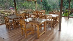 jungle wood house