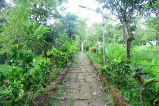 jungle wood house