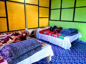 vamoose fantasy eco homestay
