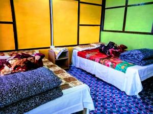 vamoose fantasy eco homestay