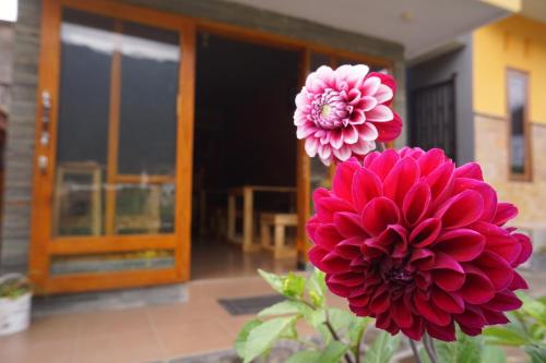 homestay anggun bromo