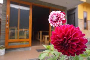 homestay anggun bromo