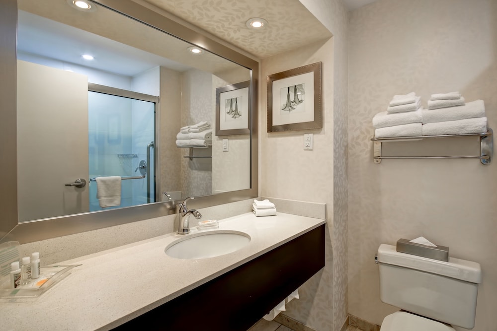 holiday inn and suites windsor ambassador bridge by ihg