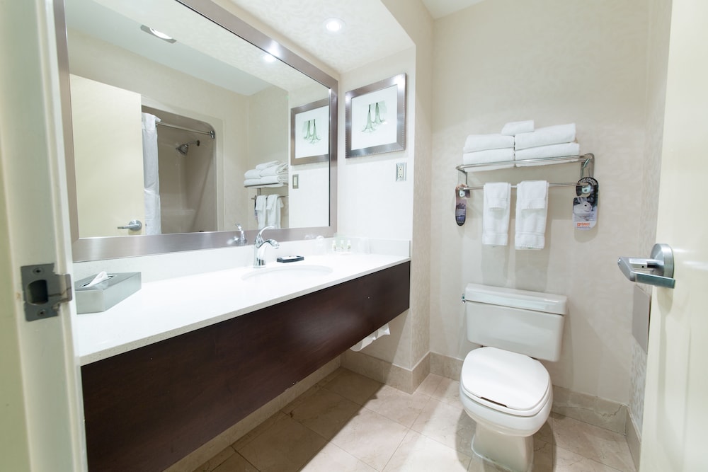 holiday inn and suites windsor ambassador bridge by ihg