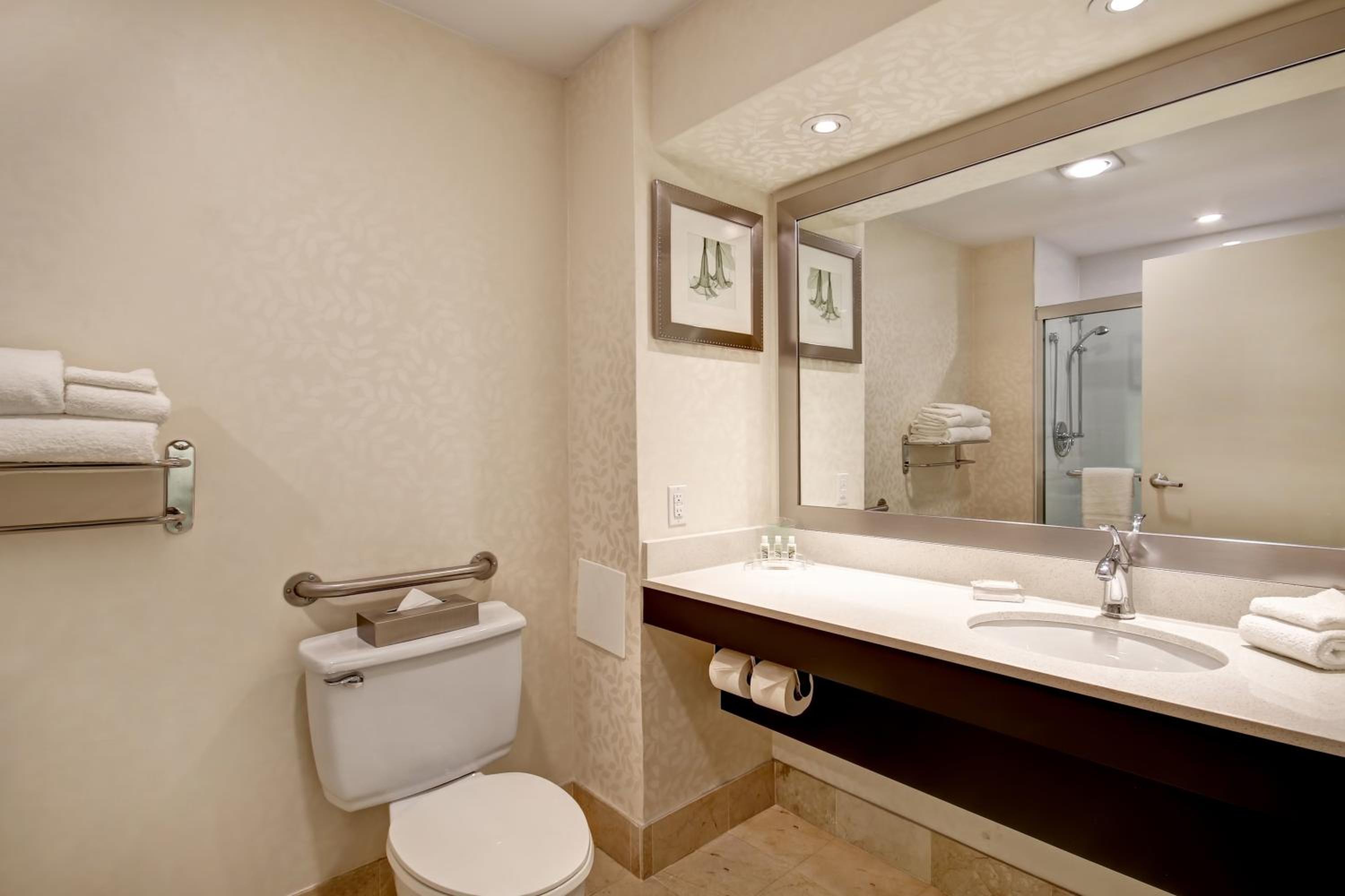 holiday inn and suites windsor ambassador bridge by ihg