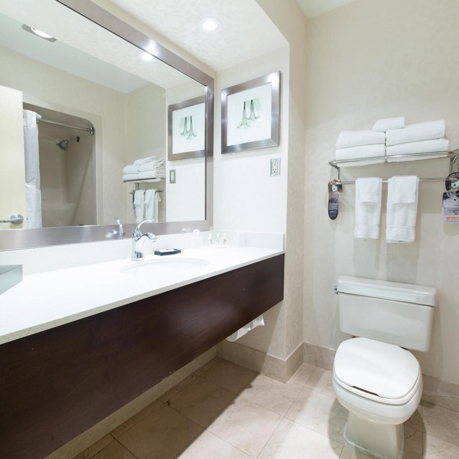 holiday inn and suites windsor ambassador bridge by ihg