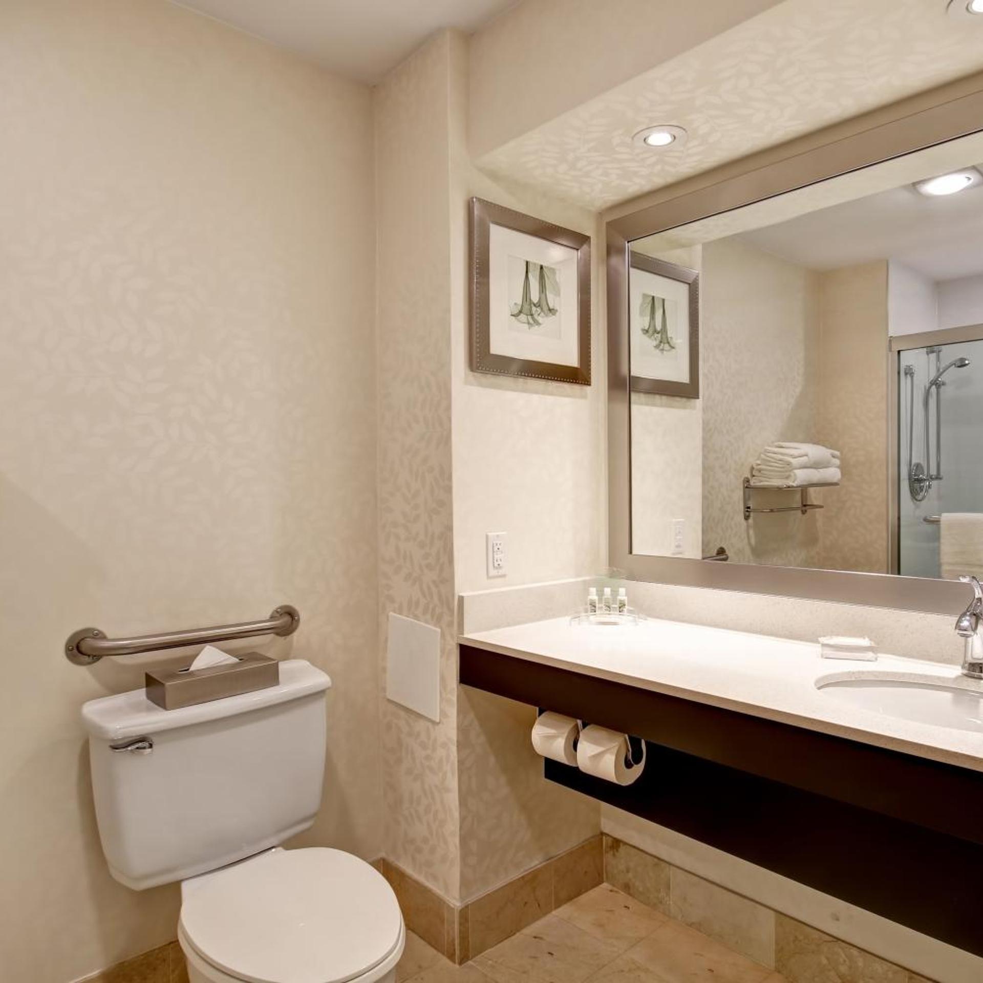 holiday inn and suites windsor ambassador bridge by ihg