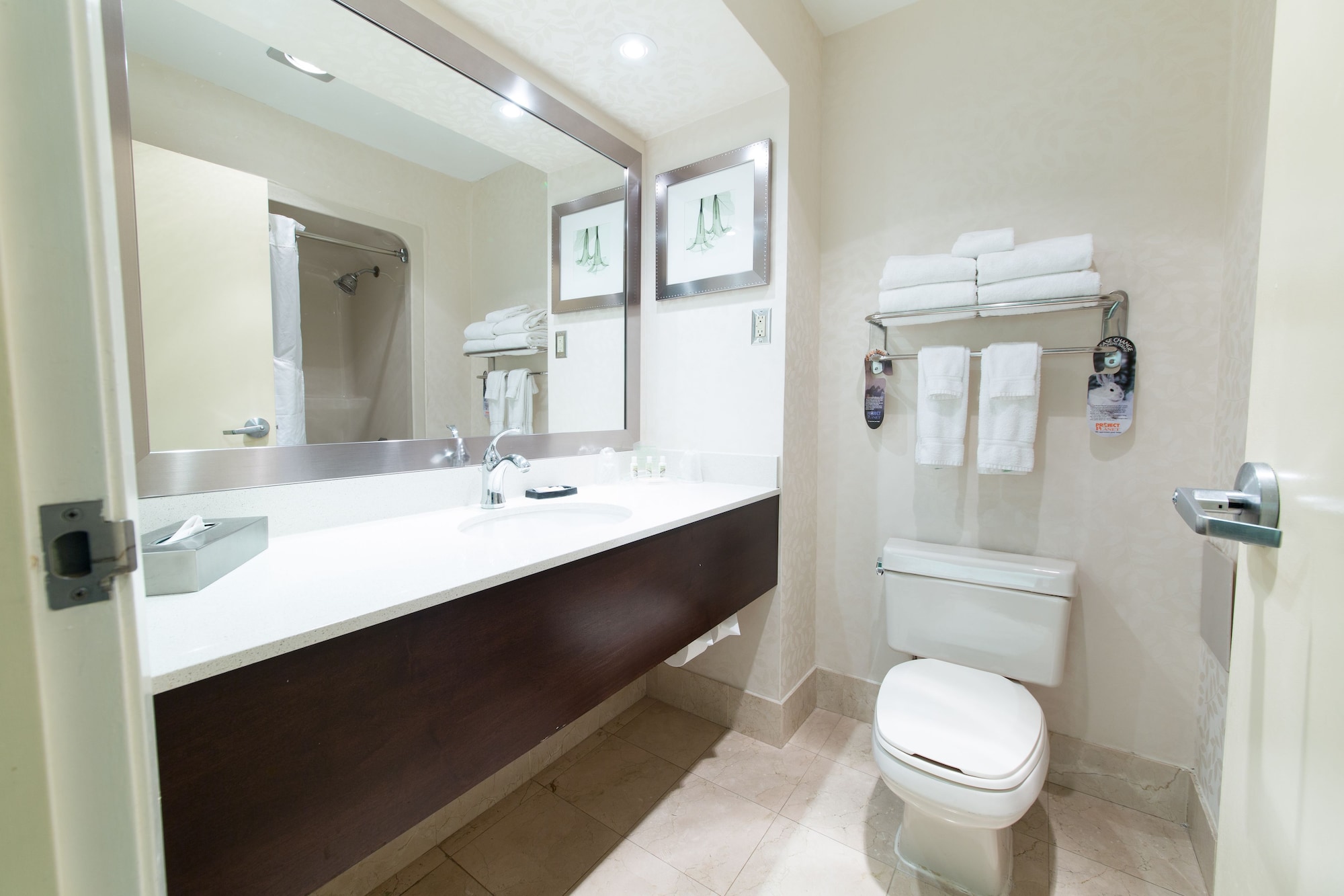 holiday inn and suites windsor ambassador bridge by ihg