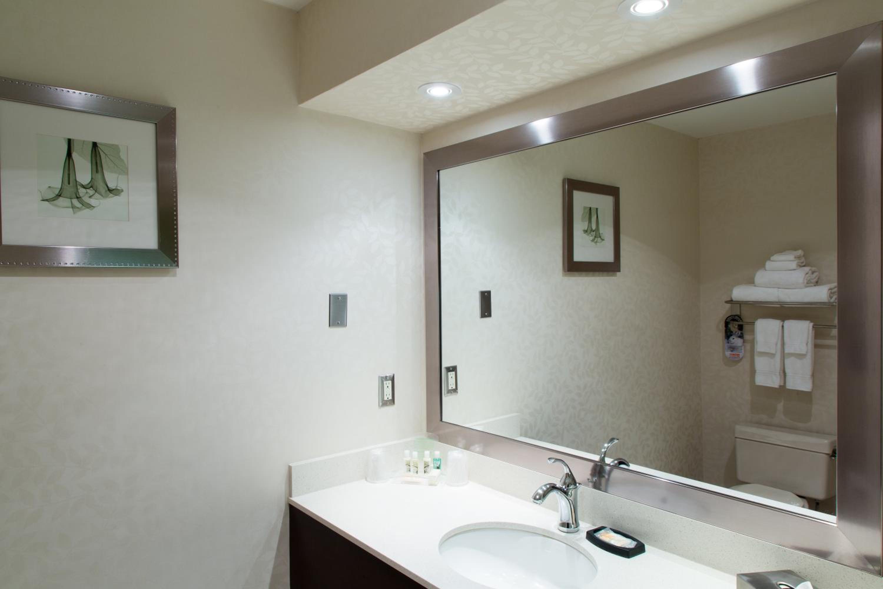 holiday inn and suites windsor ambassador bridge by ihg