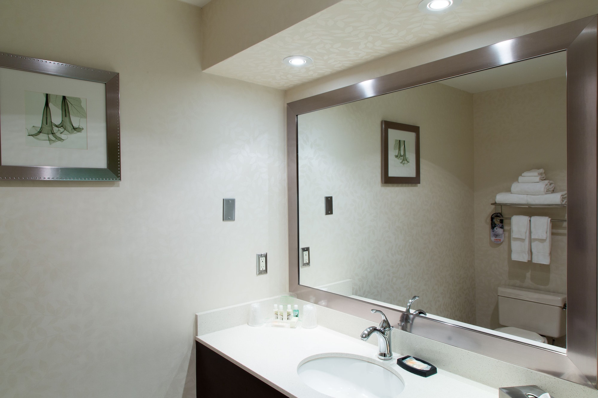 holiday inn and suites windsor ambassador bridge by ihg