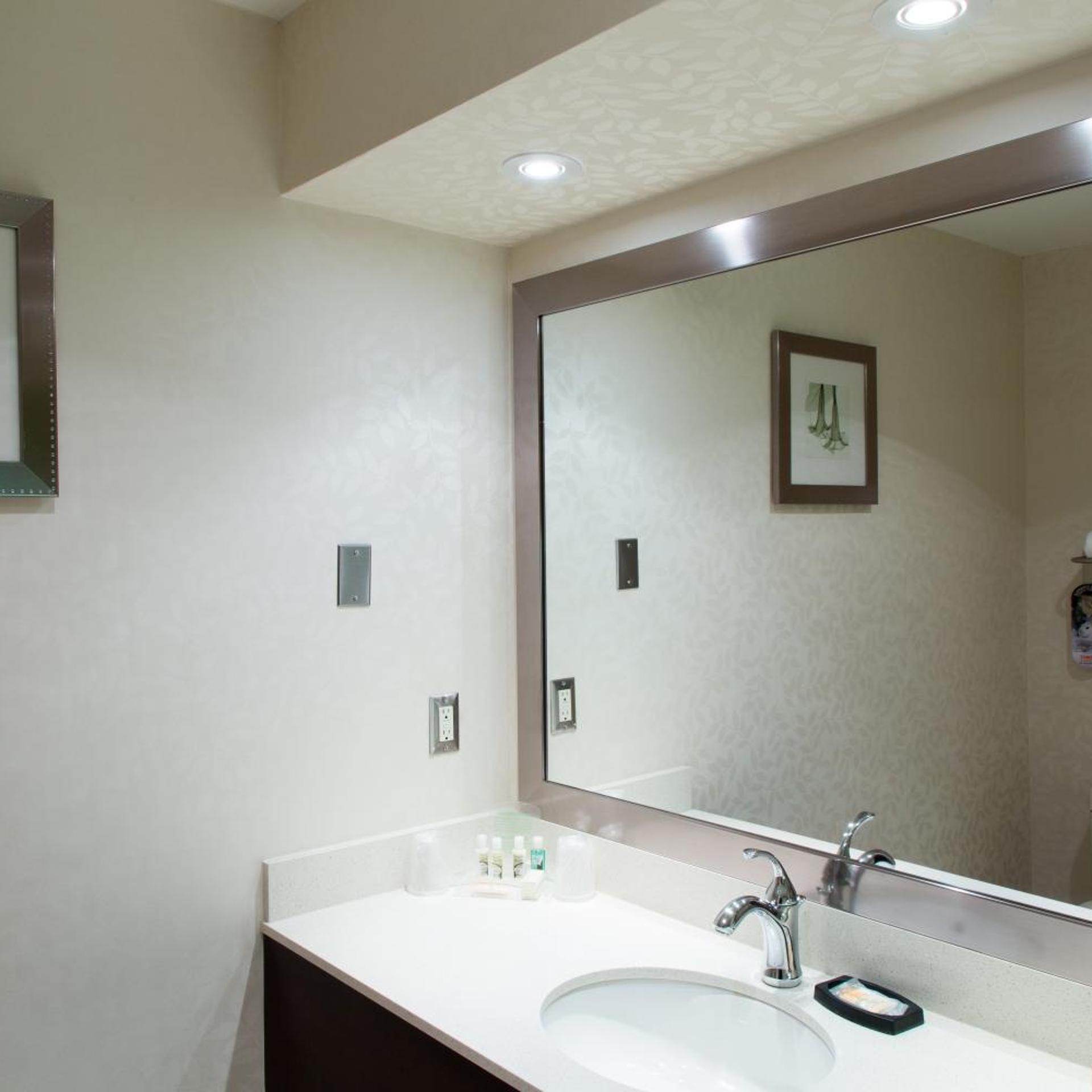 holiday inn and suites windsor ambassador bridge by ihg