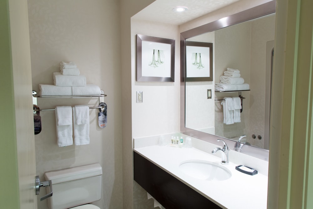 holiday inn and suites windsor ambassador bridge by ihg