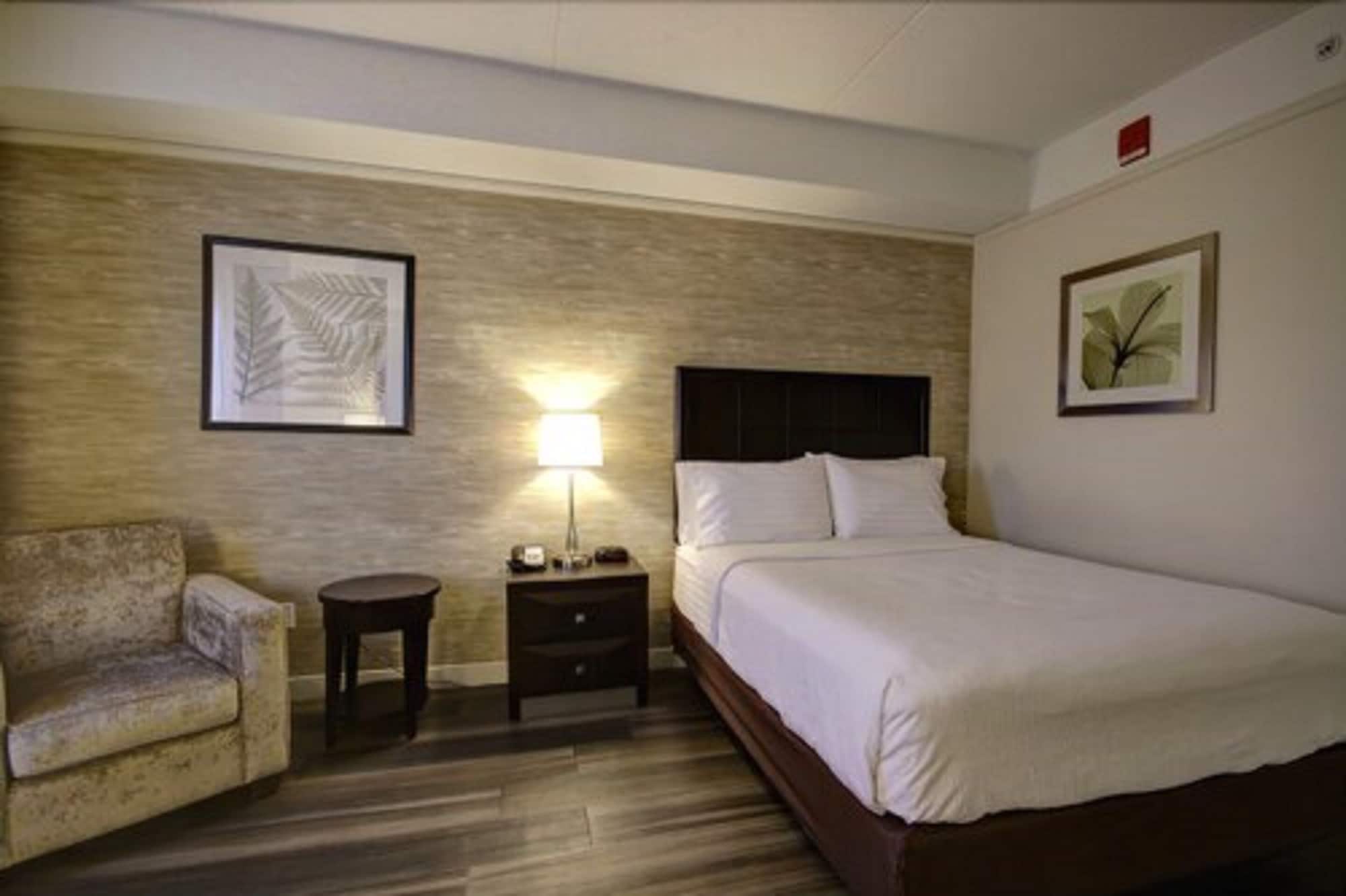 holiday inn and suites windsor ambassador bridge by ihg
