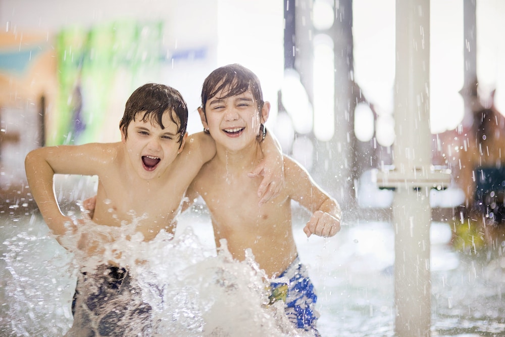 holiday inn and suites windsor ambassador bridge by ihg