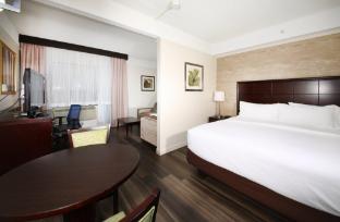 holiday inn and suites windsor ambassador bridge by ihg