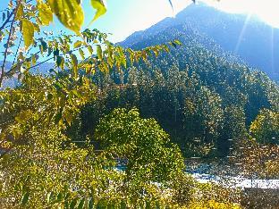 kasol
