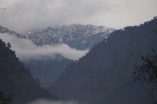 kasol