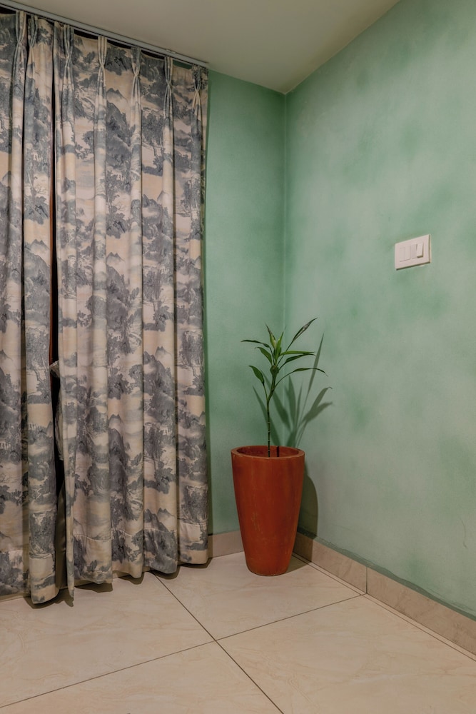 baari the house fusion