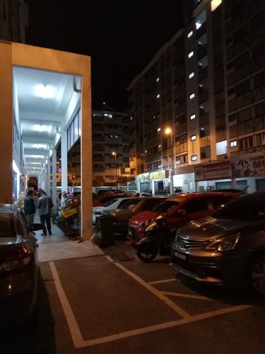 nature forest cameron 15