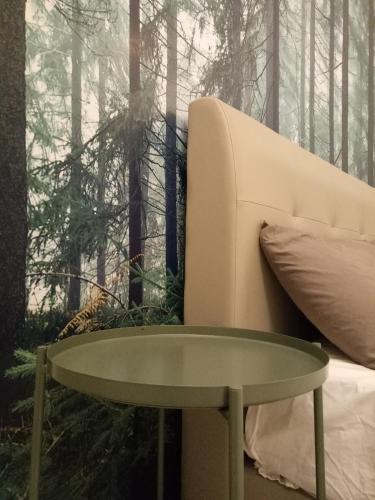 nature forest cameron 15