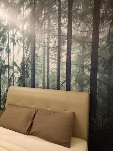 nature forest cameron 15