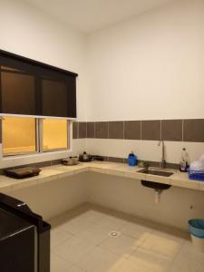 nature forest cameron 15