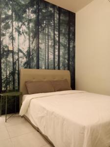 nature forest cameron 15