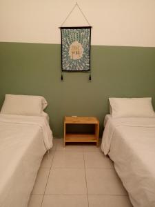 nature forest cameron 15