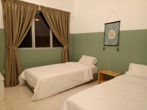 nature forest cameron 15