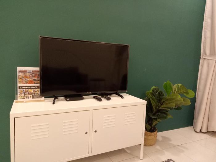 nature forest cameron 15