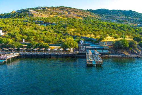 assos dionysos hotel adults only