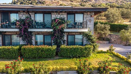 assos dionysos hotel adults only