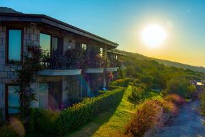 assos dionysos hotel adults only