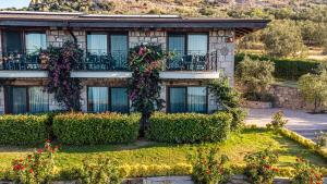 assos dionysos hotel adults only