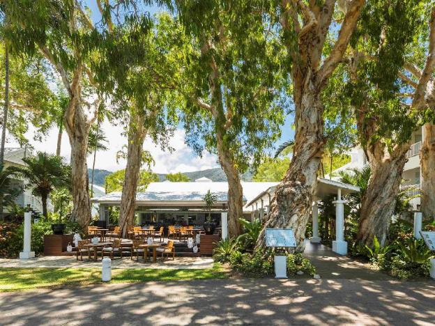 the reef house palm cove