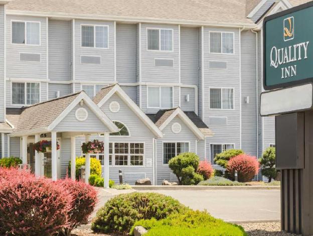 quality inn