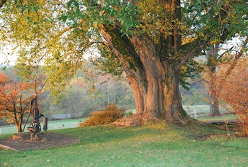 briar patch bed and breakfast inn