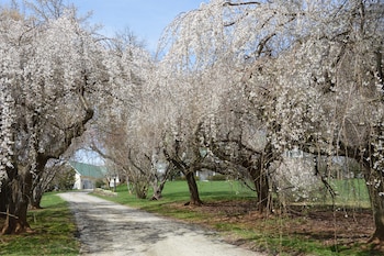 briar patch bed and breakfast inn