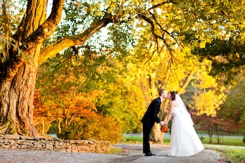 briar patch bed and breakfast inn
