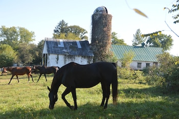 briar patch bed and breakfast inn